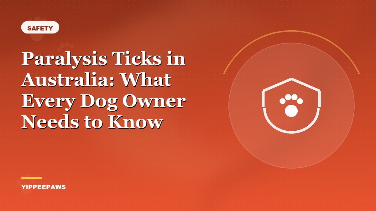Paralysis Ticks in Australia: What Every Dog Owner Needs to Know