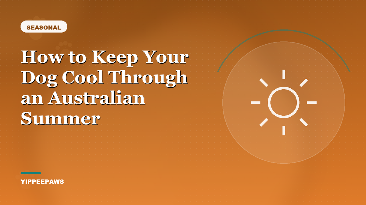 How to Keep Your Dog Cool Through an Australian Summer
