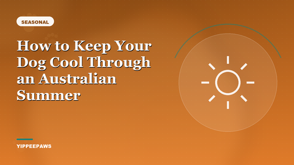 How to Keep Your Dog Cool Through an Australian Summer