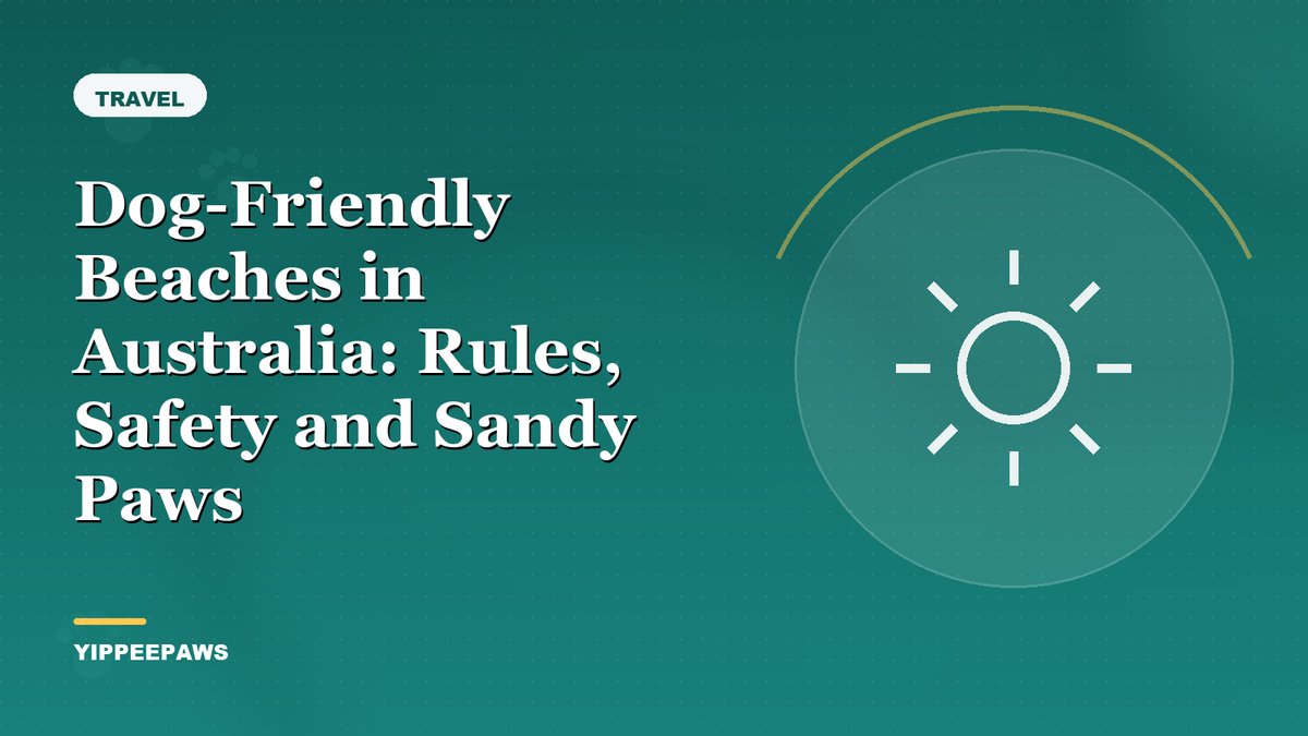 Dog-Friendly Beaches in Australia: Rules, Safety and Sandy Paws