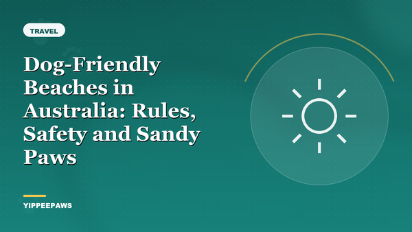 Dog-Friendly Beaches in Australia: Rules, Safety and Sandy Paws