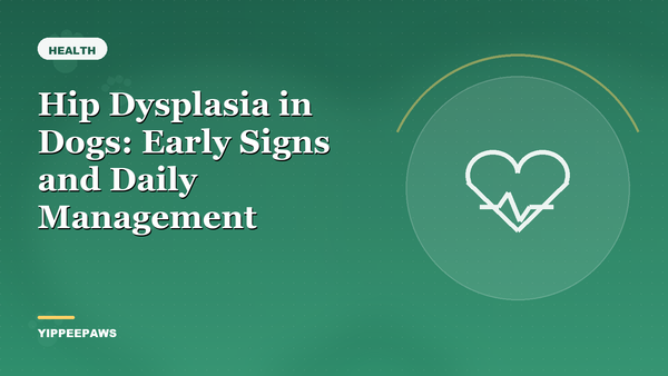 Hip Dysplasia in Dogs: Early Signs and Daily Management