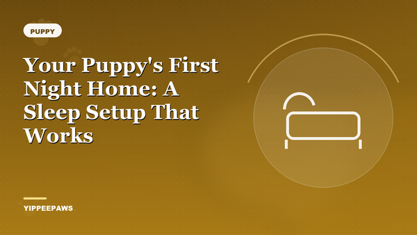 Your Puppy's First Night Home: A Sleep Setup That Works