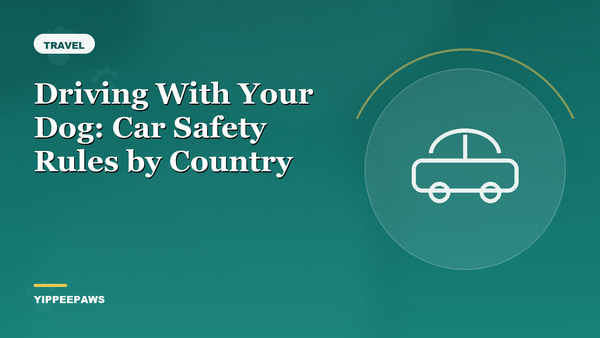 Driving With Your Dog: Car Safety Rules by Country