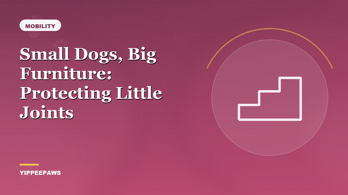 Small Dogs, Big Furniture: Protecting Little Joints