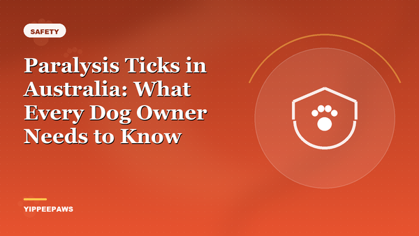 Paralysis Ticks in Australia: What Every Dog Owner Needs to Know