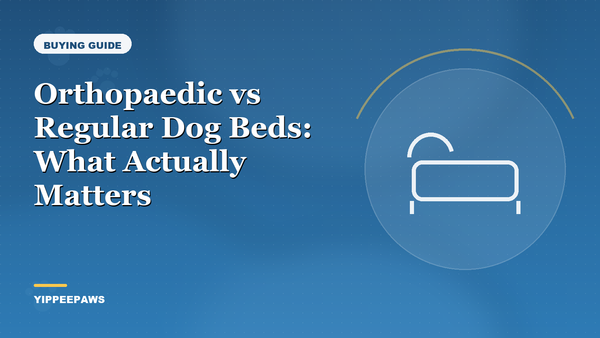 Orthopaedic vs Regular Dog Beds: What Actually Matters