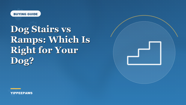 Dog Stairs vs Ramps: Which Is Right for Your Dog?