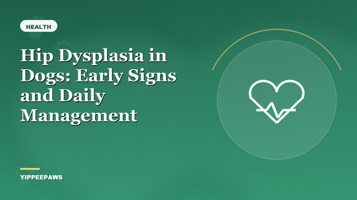 Hip Dysplasia in Dogs: Early Signs and Daily Management
