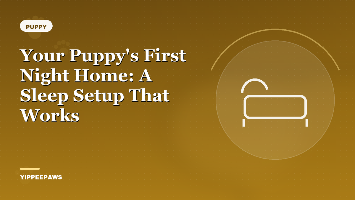 Your Puppy's First Night Home: A Sleep Setup That Works