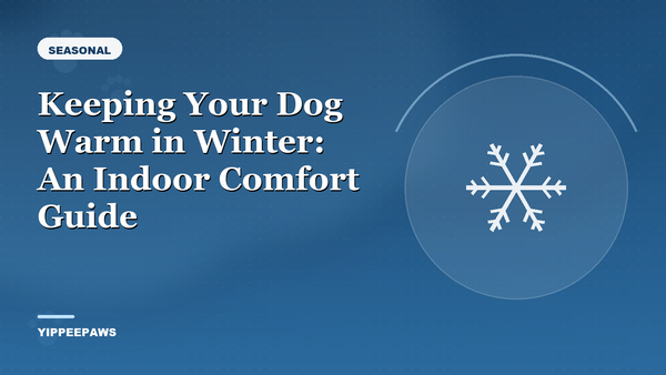 Keeping Your Dog Warm in Winter: An Indoor Comfort Guide