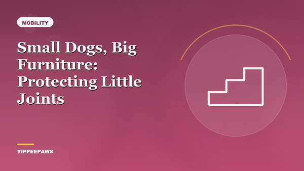 Small Dogs, Big Furniture: Protecting Little Joints