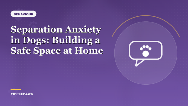 Separation Anxiety in Dogs: Building a Safe Space at Home