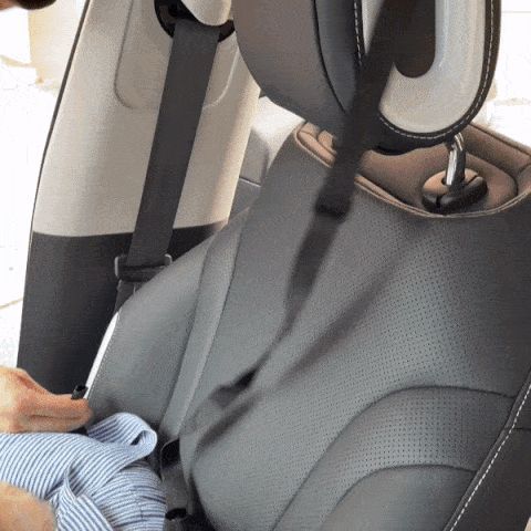 YippeePaws Co-driving Seat for Pets